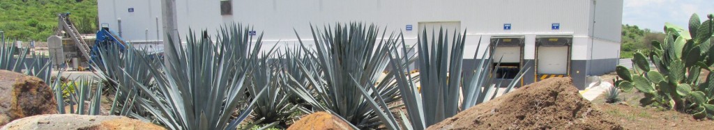 Empresa